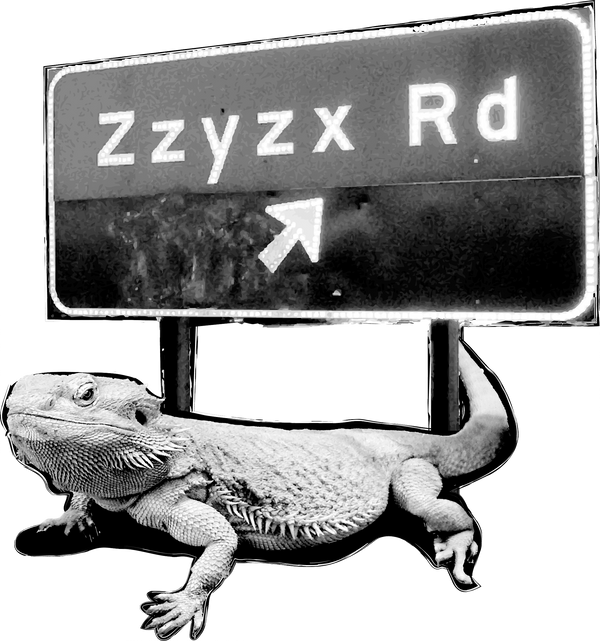 Zzyzx Reptiles